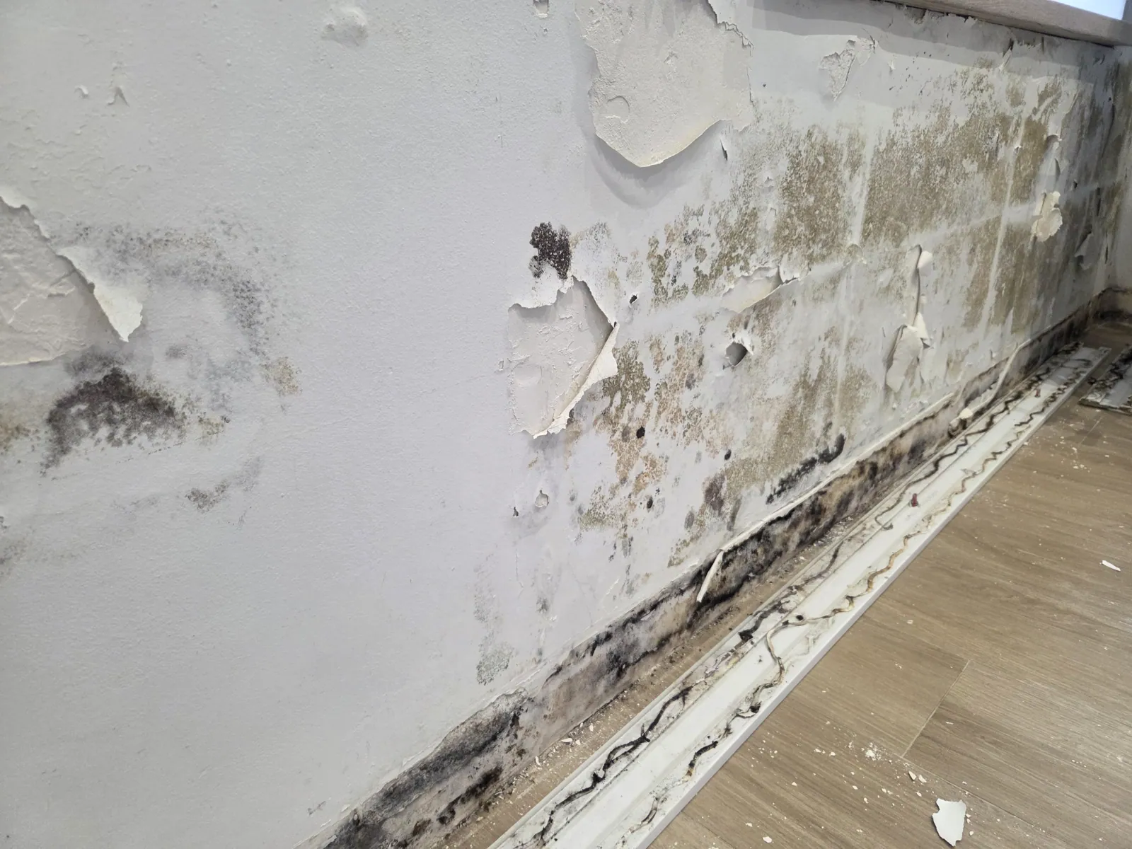 Humedad en pared interior