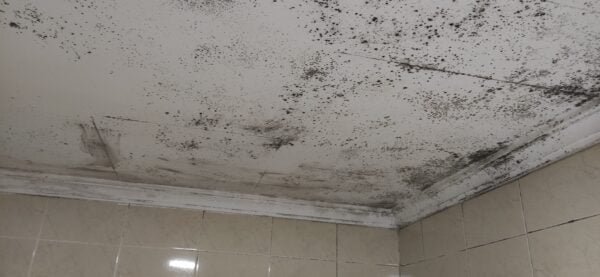 Asesoramiento para la solución a la humedad por condensación. - Imagen 6