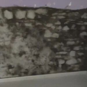 Asesoramiento para la solución a la humedad en muros enterrados