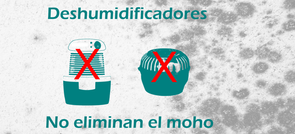 Deshumidificadores no eliminan el moho