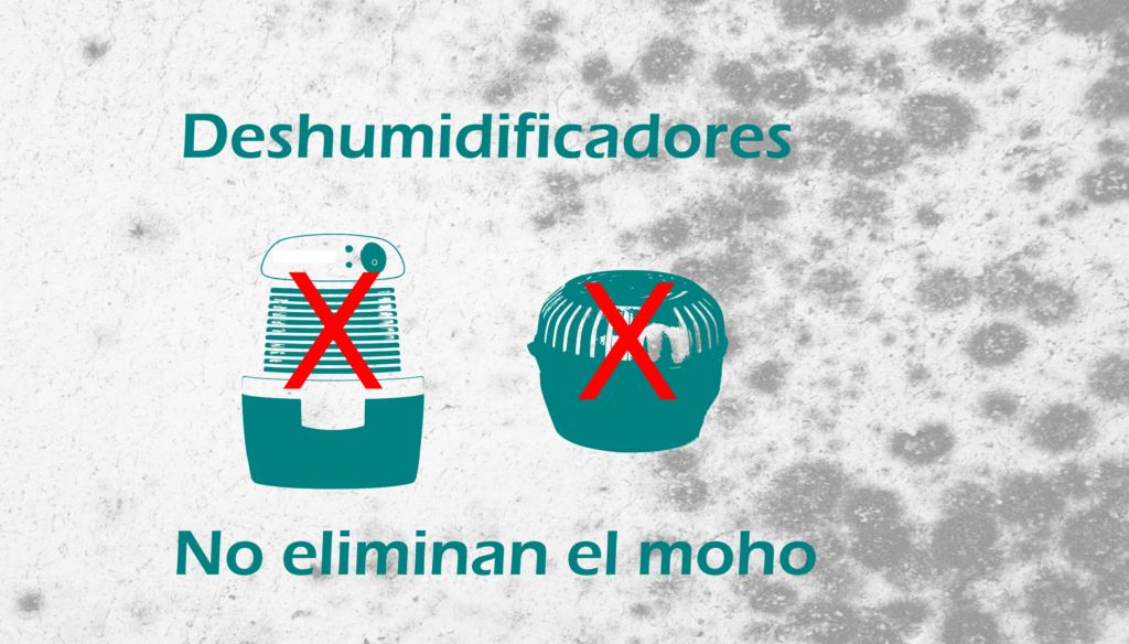 Deshumidificadores no eliminan el moho